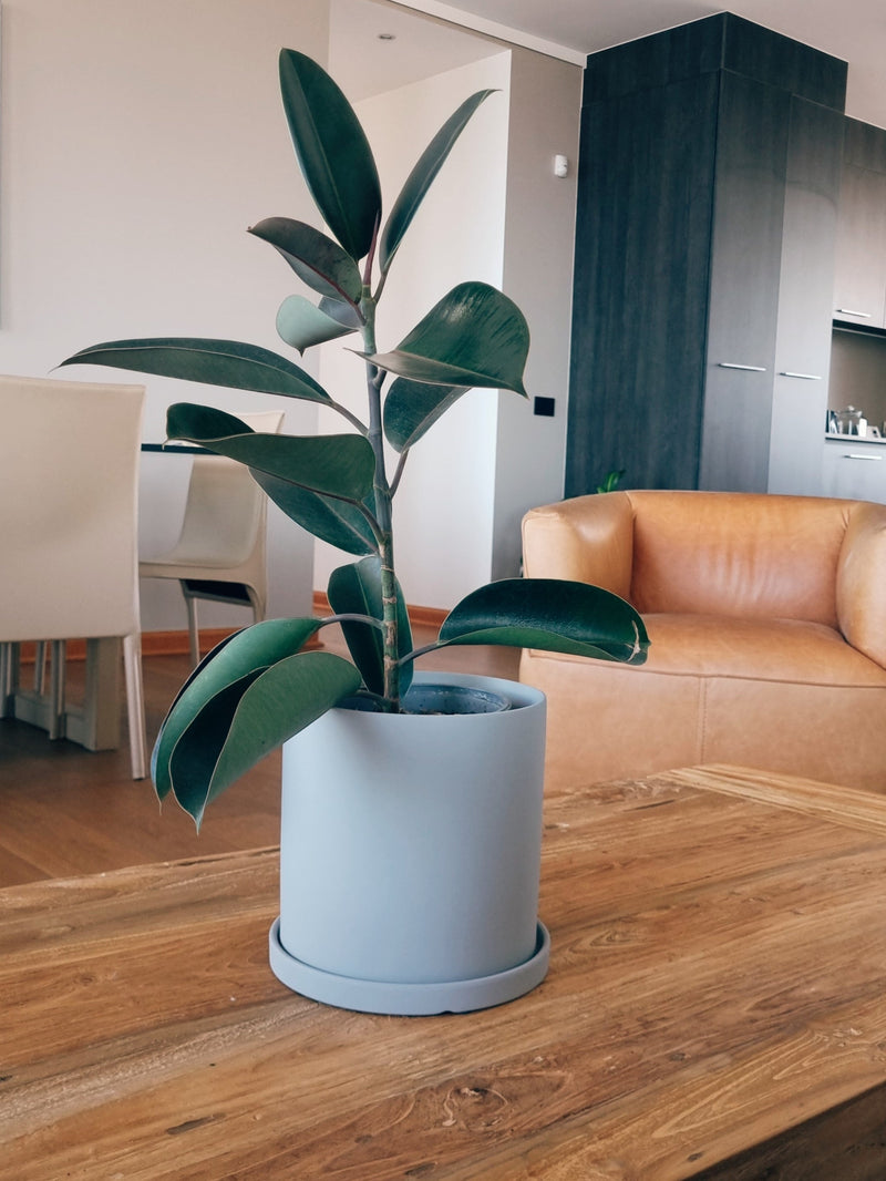 Maceta Nordica Gris L - Garden Room