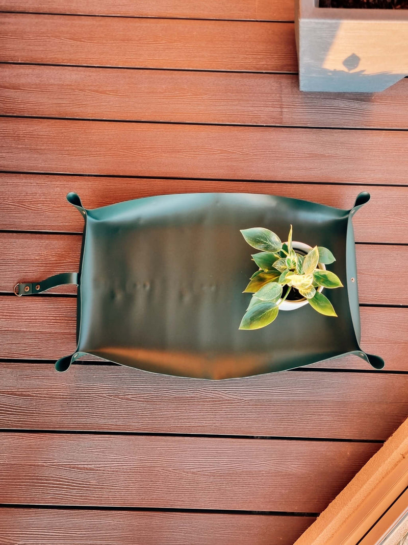 Alfombra trasplante verde