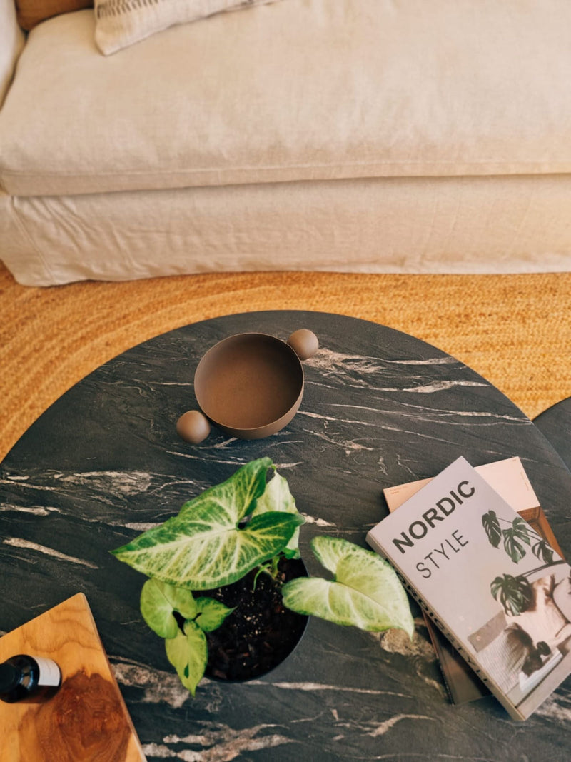 Singonio Plateado - Garden Room