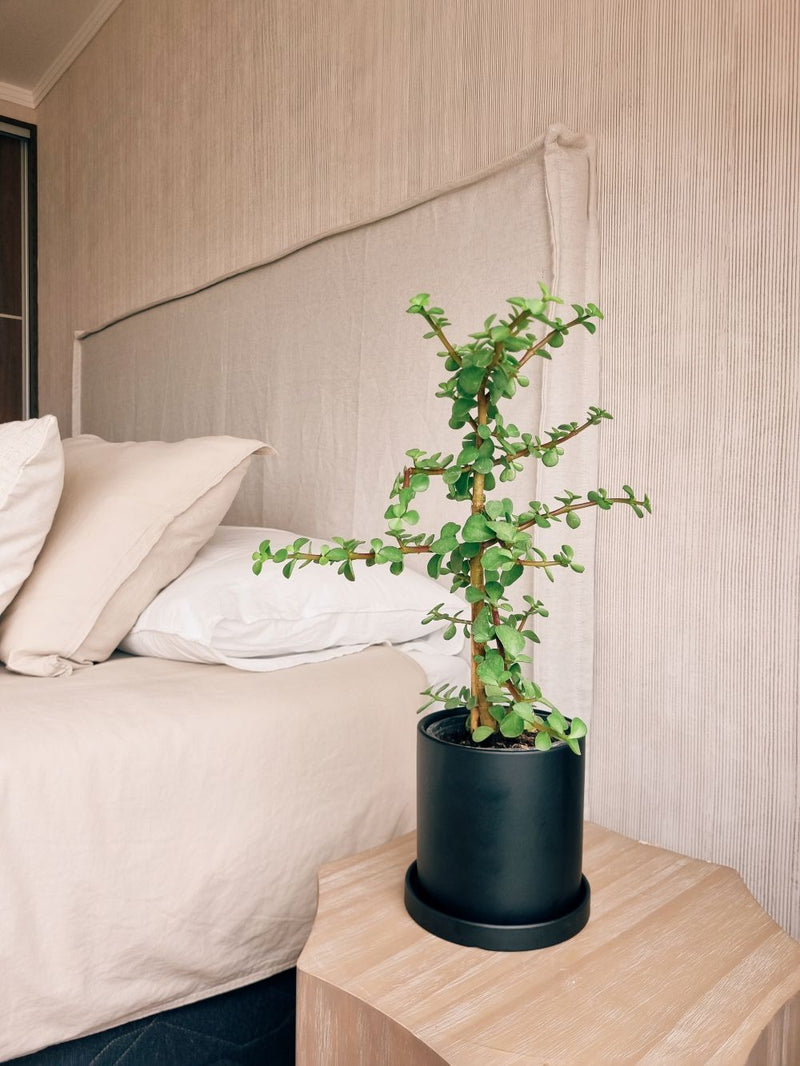 Macetero Nordico Negro S