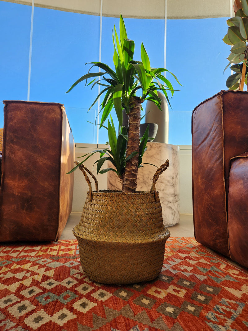 Canasto Isa XL - Garden Room