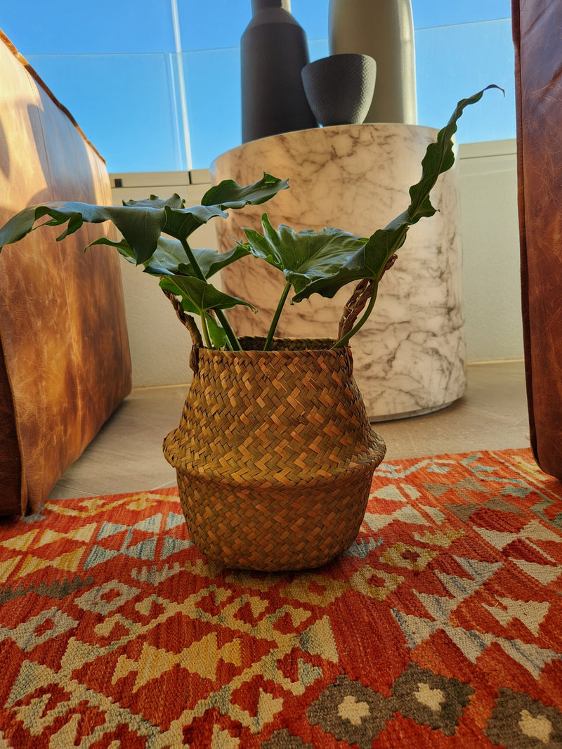 Canasto Isa M - Garden Room