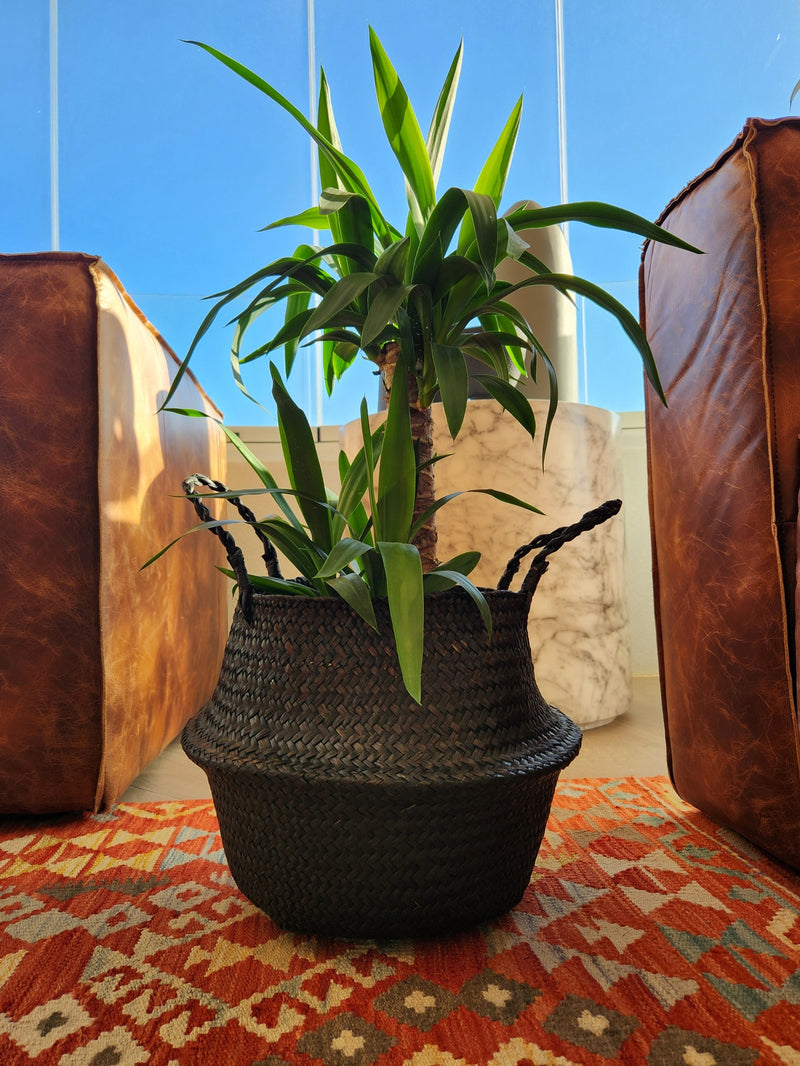 Canasto Nero XXL - Garden Room