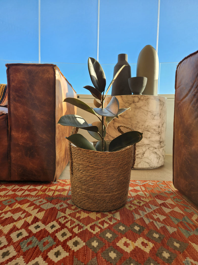 Canasto Rustic XL - Garden Room