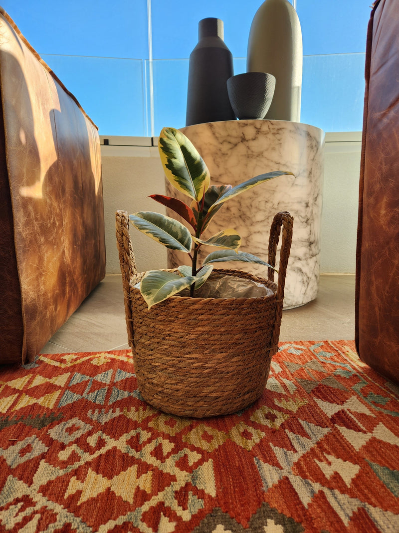 Canasto Rustic L - Garden Room