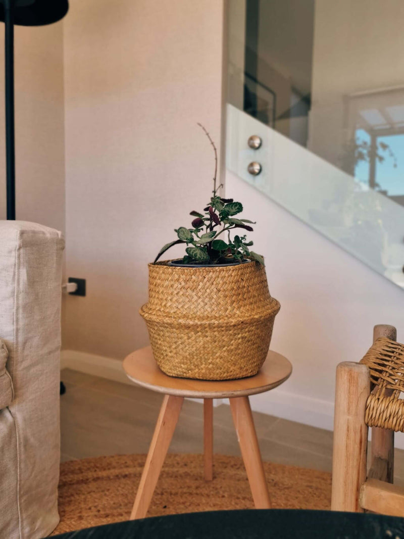 Dolar blanco ambientado