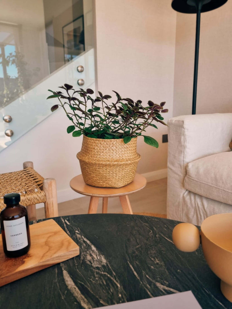 Dolar negro ambientado