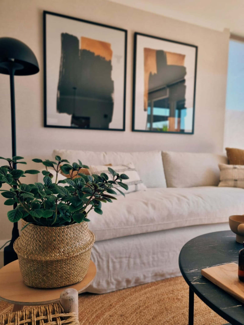 Dolar negro en canasto