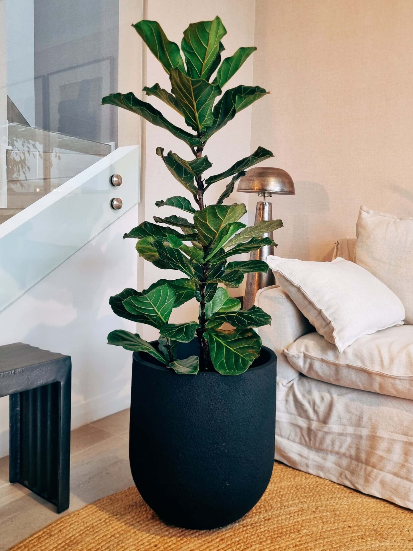 Macetero Bruma Negro (43x47 cm)