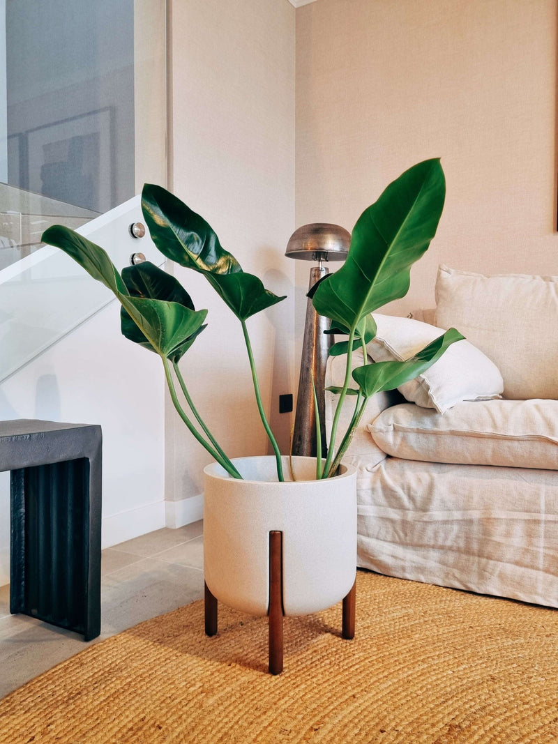 Macetero con pedestal Elevé Arena (33x36cm)