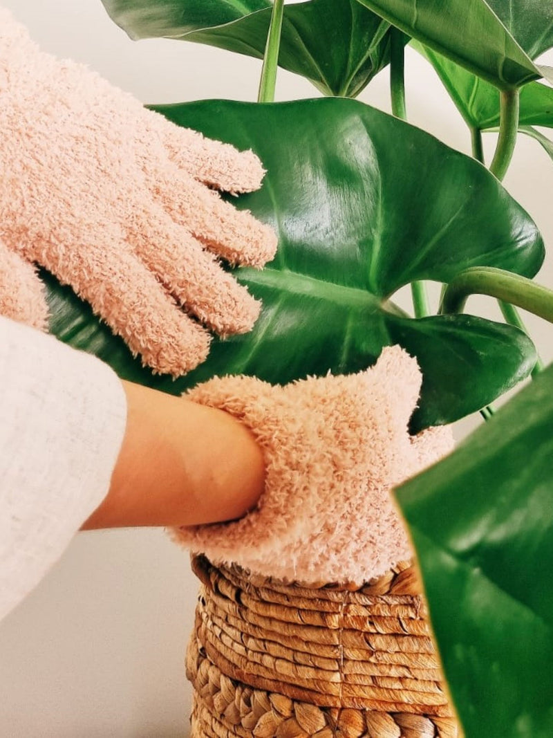 Guantes - Garden Room