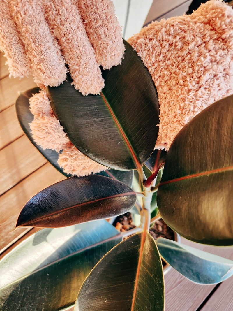 Guantes - Garden Room