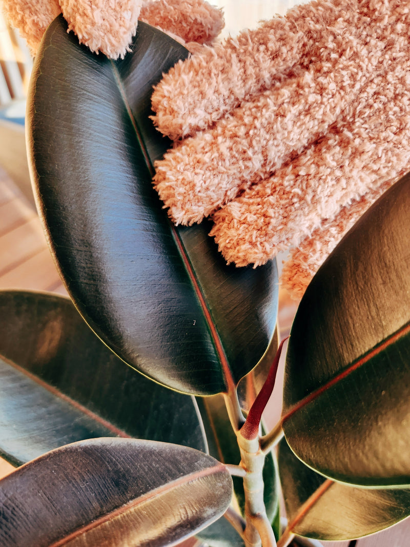 Guantes - Garden Room