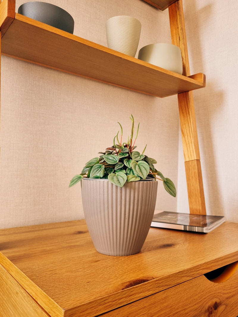 Maceta Lineas Gris S - Garden Room