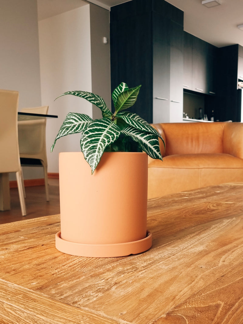 Maceta Nordica Terracota S - Garden Room