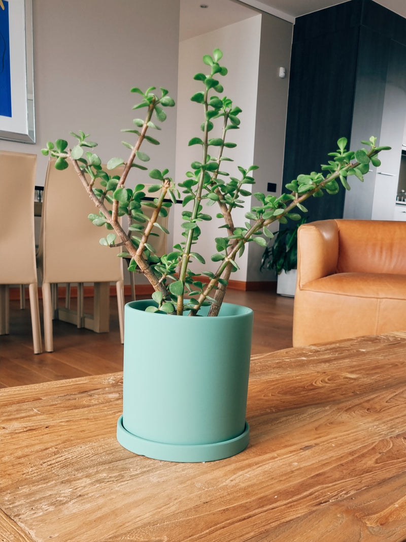 Macetero Nordico Menta M