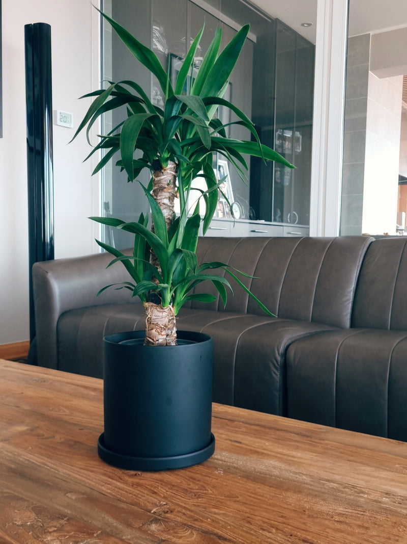 Macetero Nordico Negro L