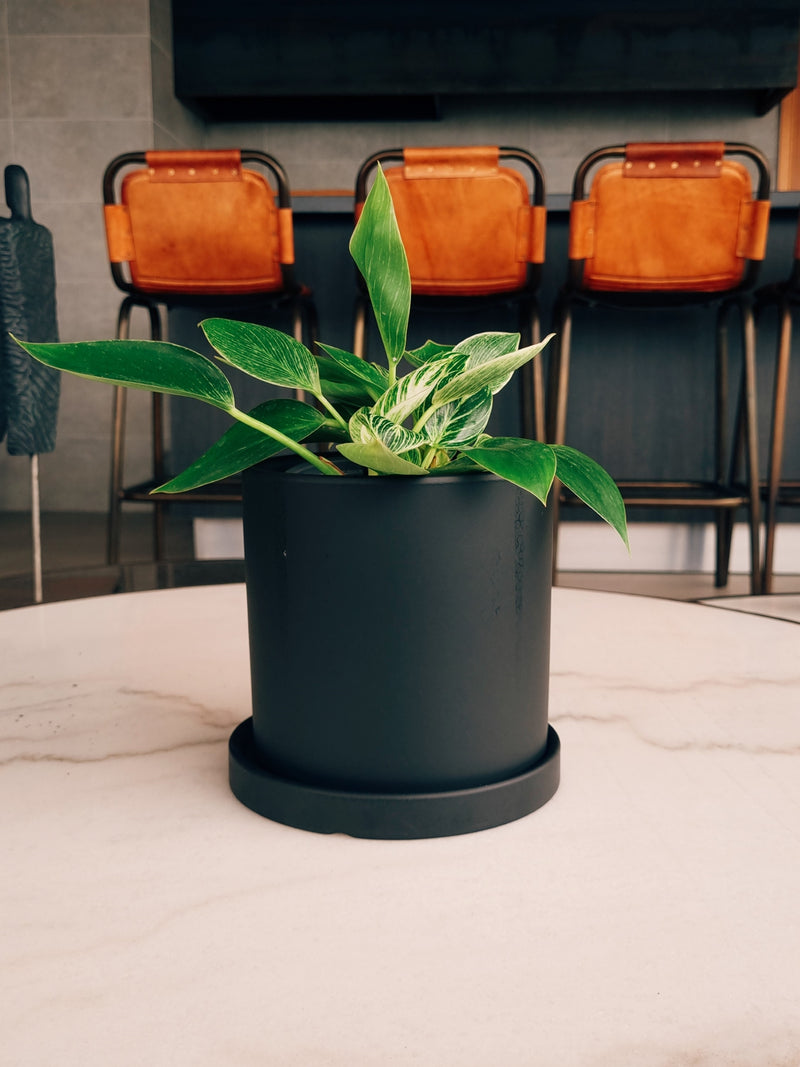 Macetero Nordico Negro S