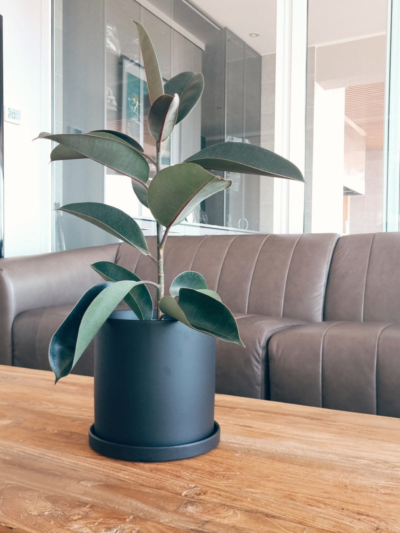 Macetero Nordico Negro L