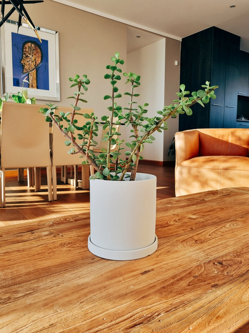 Macetero Nordico Blanco M