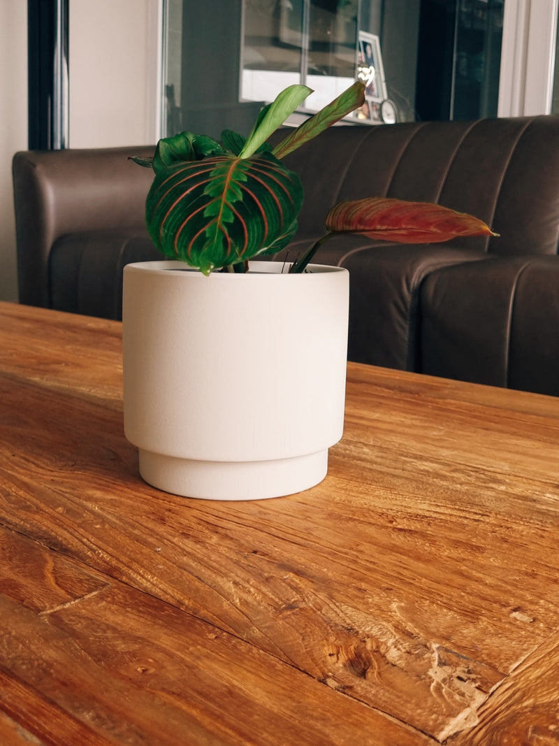 Maceta Pipa Blanca S - Garden Room