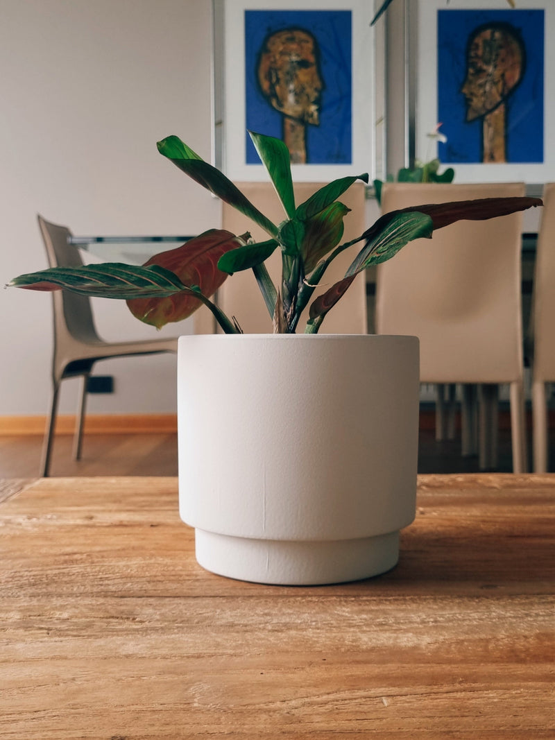 Maceta Pipa Blanca S - Garden Room