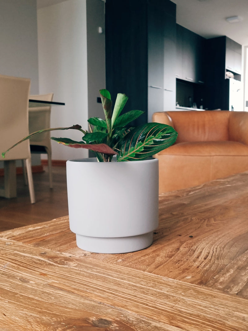 Macetero Pipa Gris S