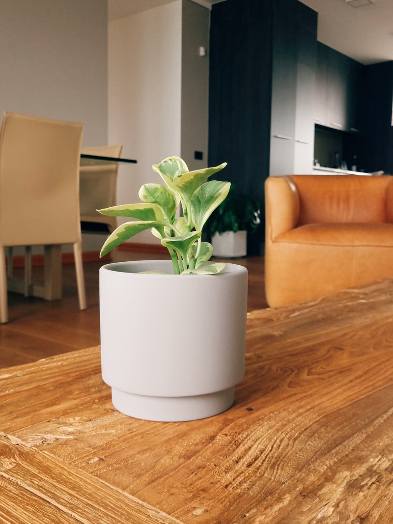 Macetero Pipa Gris S