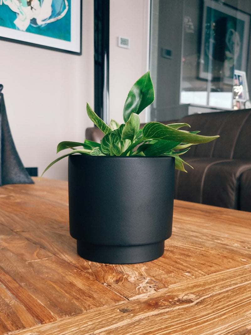 Maceta Pipa Negra S - Garden Room