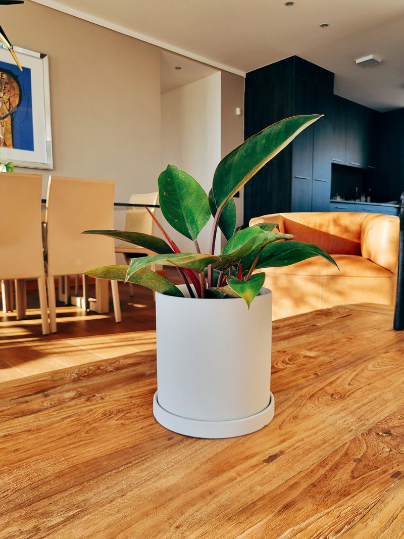 Macetero Nordico Blanco M