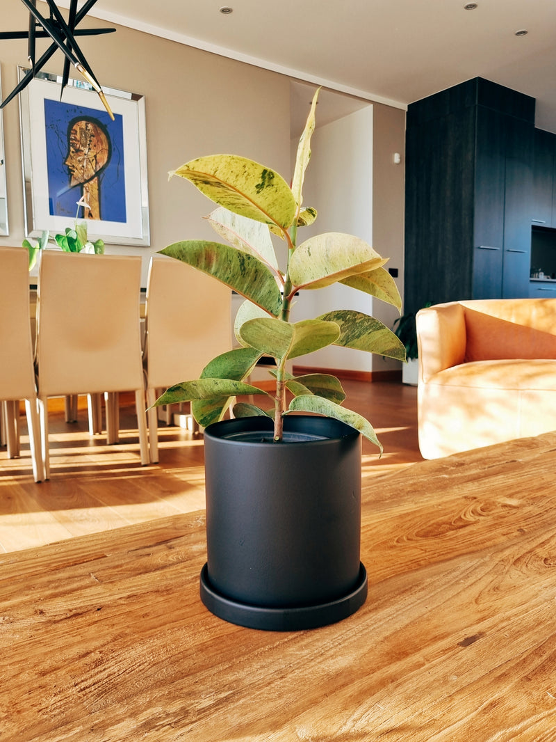 Macetero Nordico Negro M