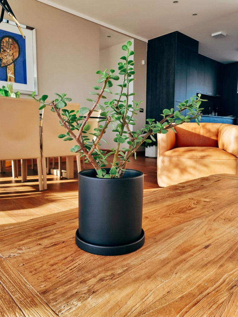 Macetero Nordico Negro M