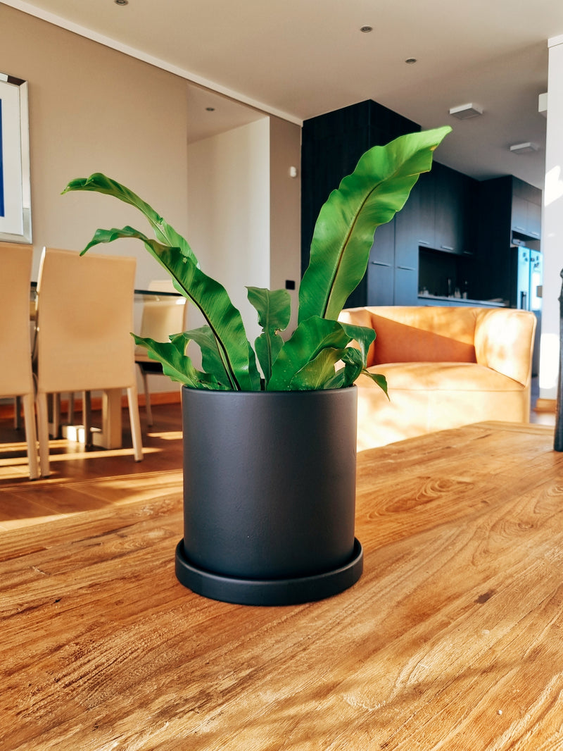 Macetero Nordico Negro M