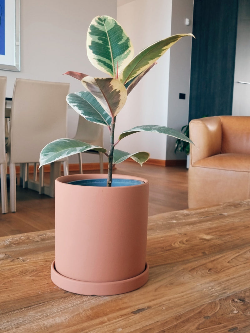 Maceta Nordica Terracota M - Garden Room