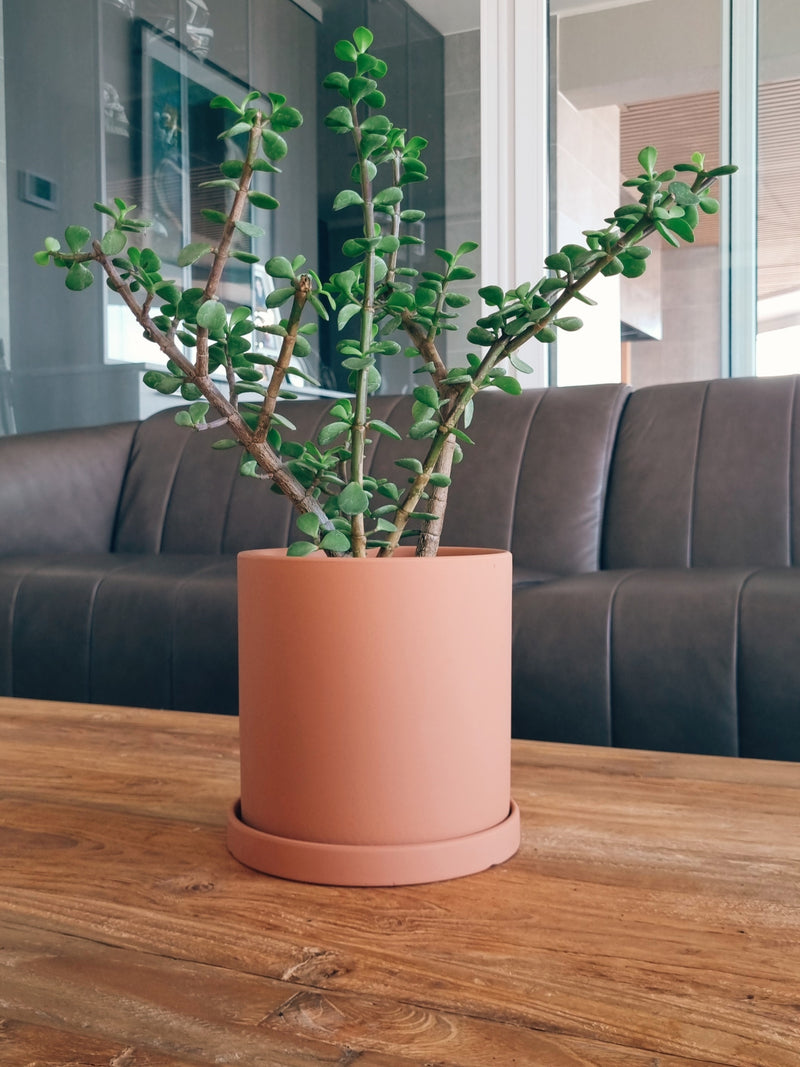 Maceta Nordica Terracota M - Garden Room