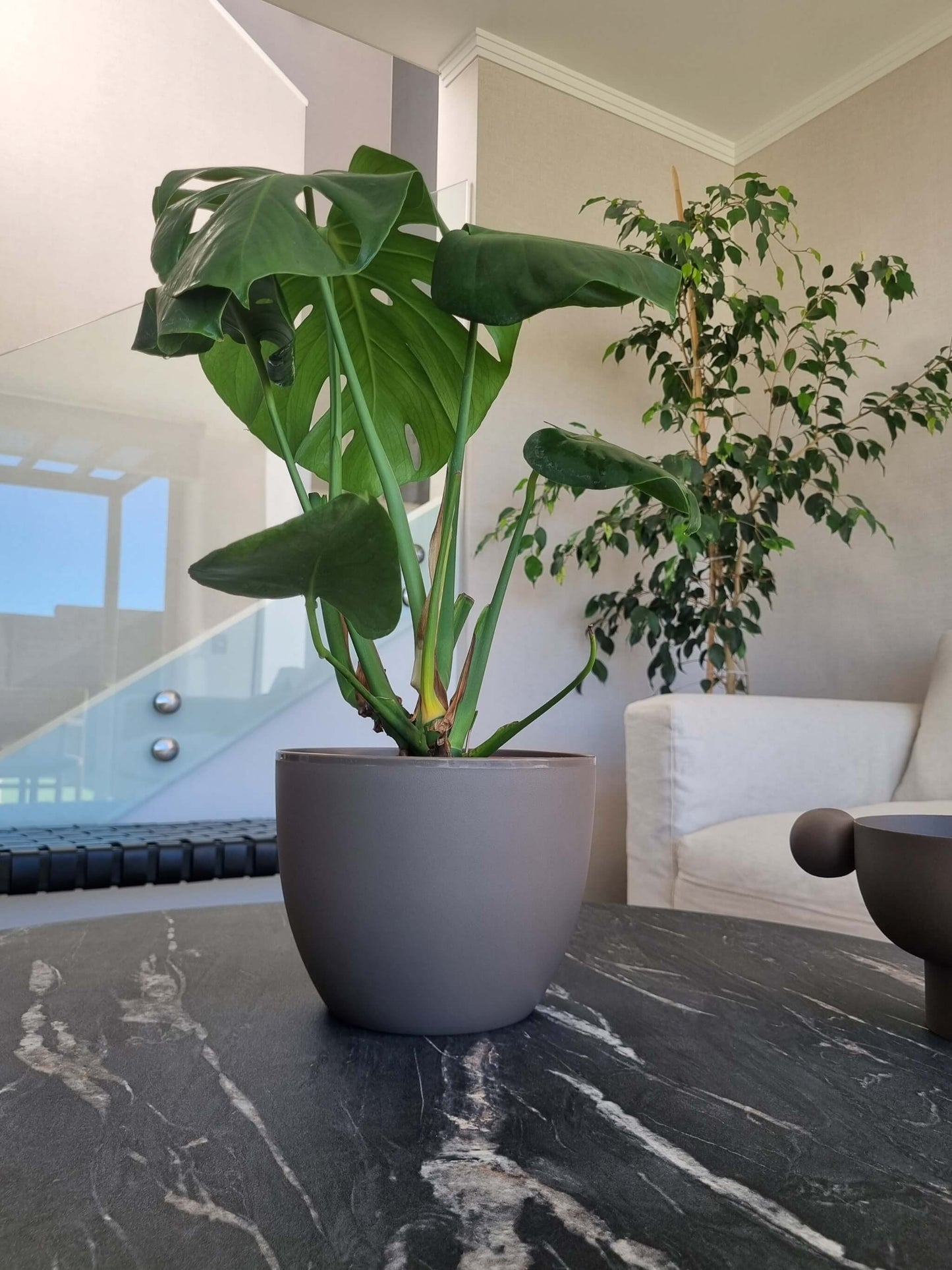 Macetero Siena Gris L - Garden Room