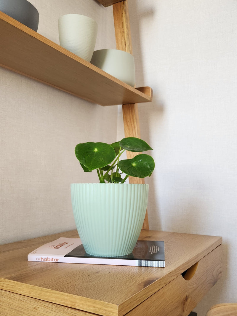 Maceta Lineas Verde Agua M - Garden Room