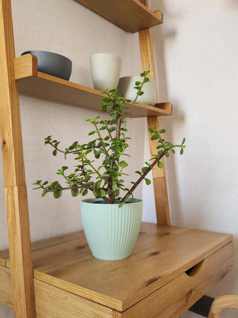 Maceta Lineas Verde Agua M - Garden Room