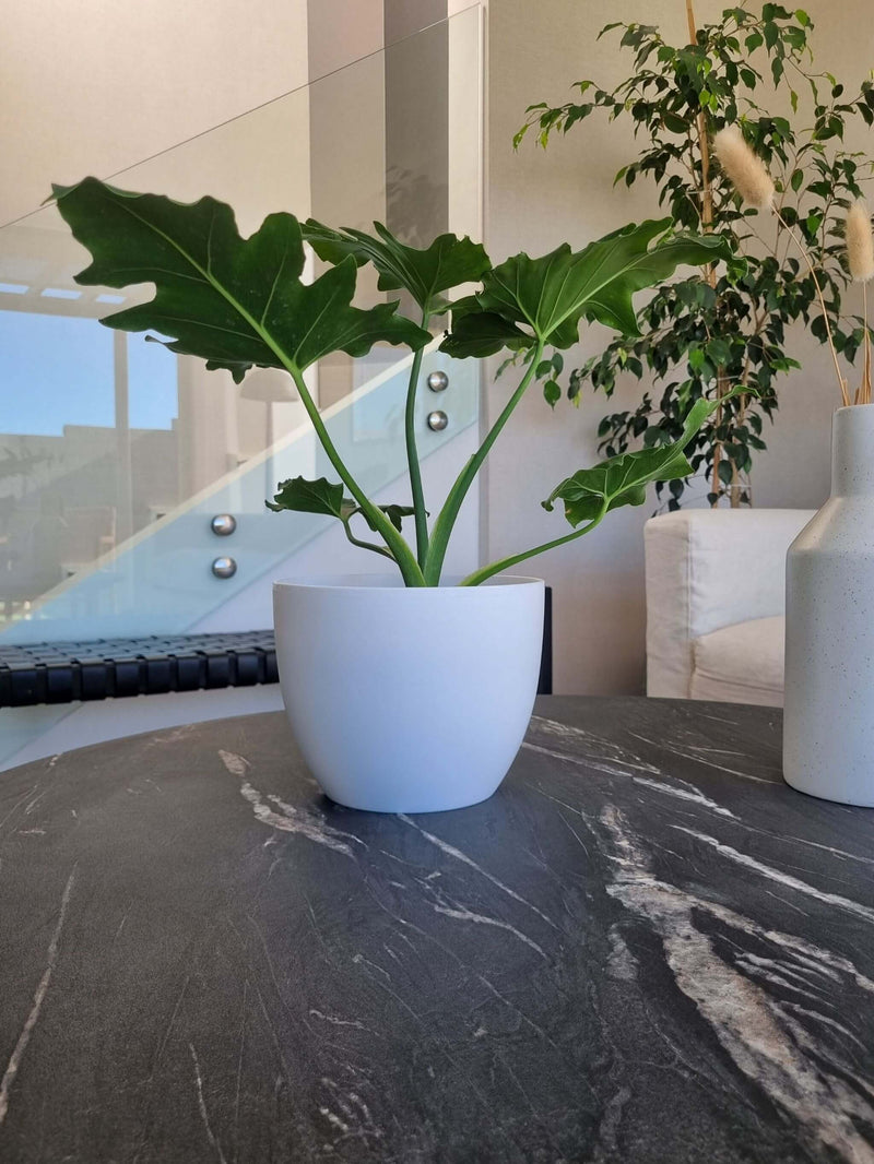 Macetero Siena Blanco L - Garden Room