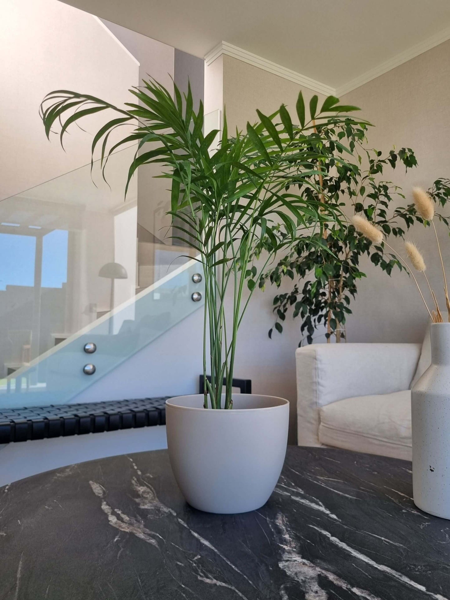 Macetero Siena Arena L - Garden Room