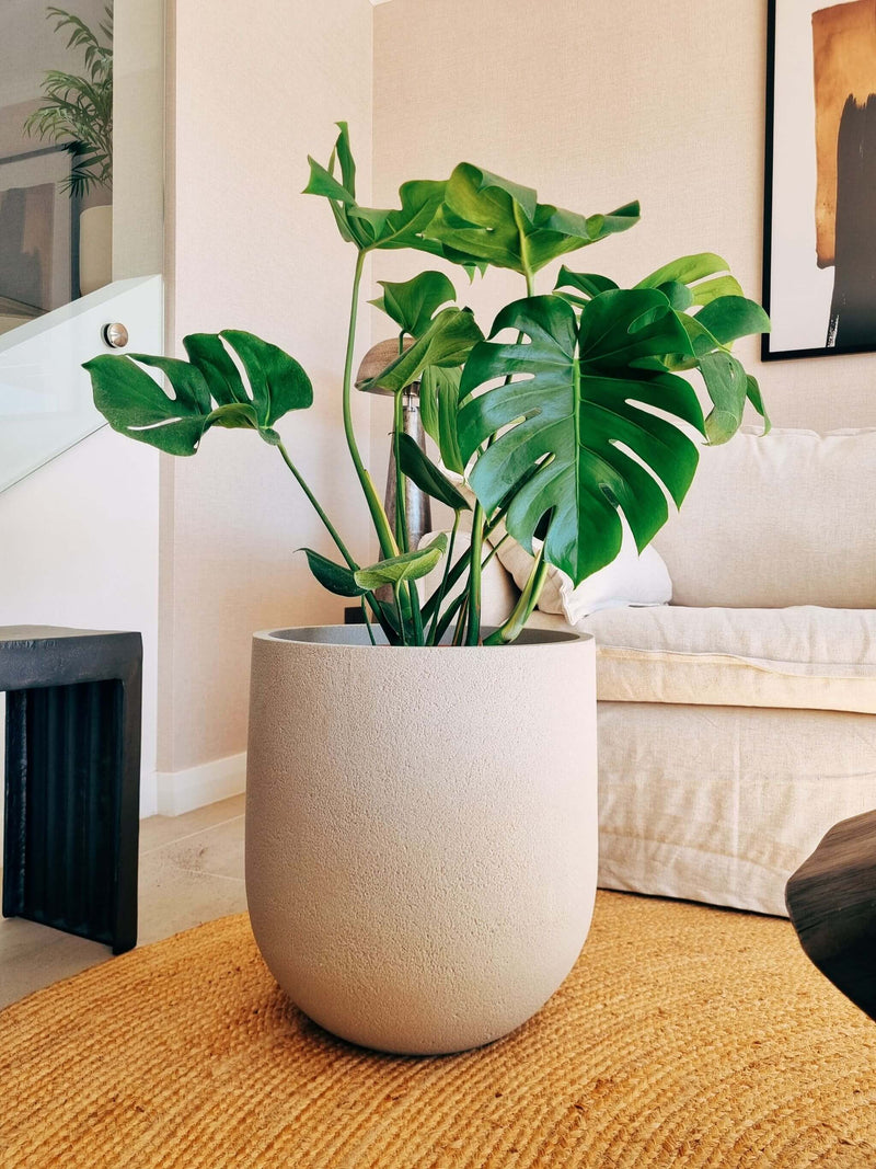 Macetero Bruma Arena (44 x47 cm)