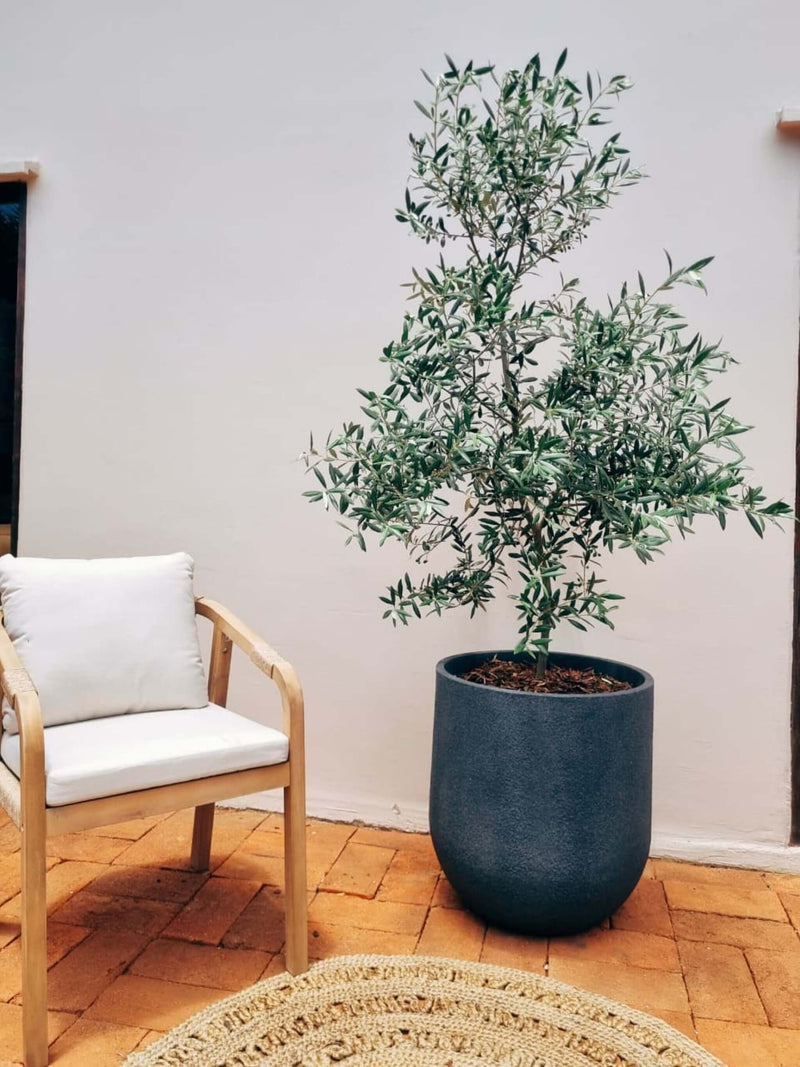 Pack Estilo Mediterráneo