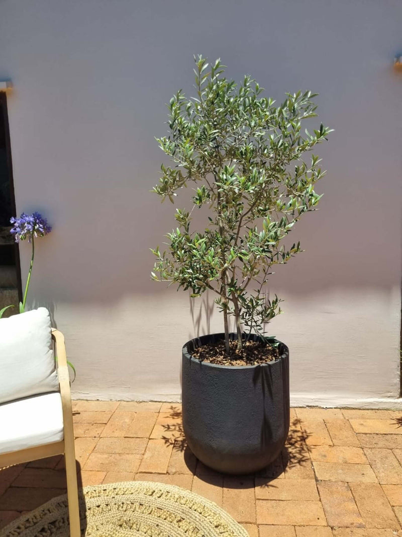 Macetero Bruma Negro (55x59 cm)