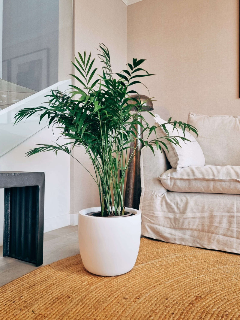 Macetero Tempo Blanco (30x26cm)