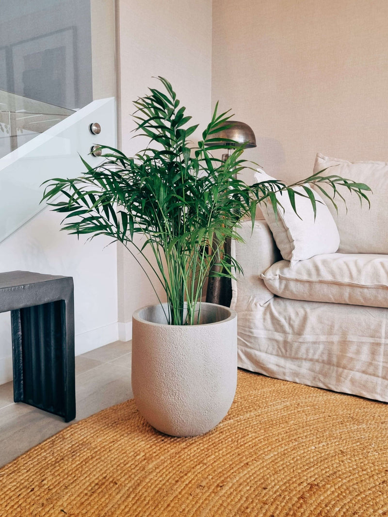 Macetero Bruma Arena (33x33.5 cm)