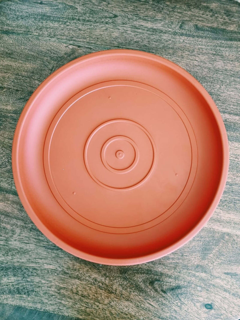 Plato Terracota 30cm