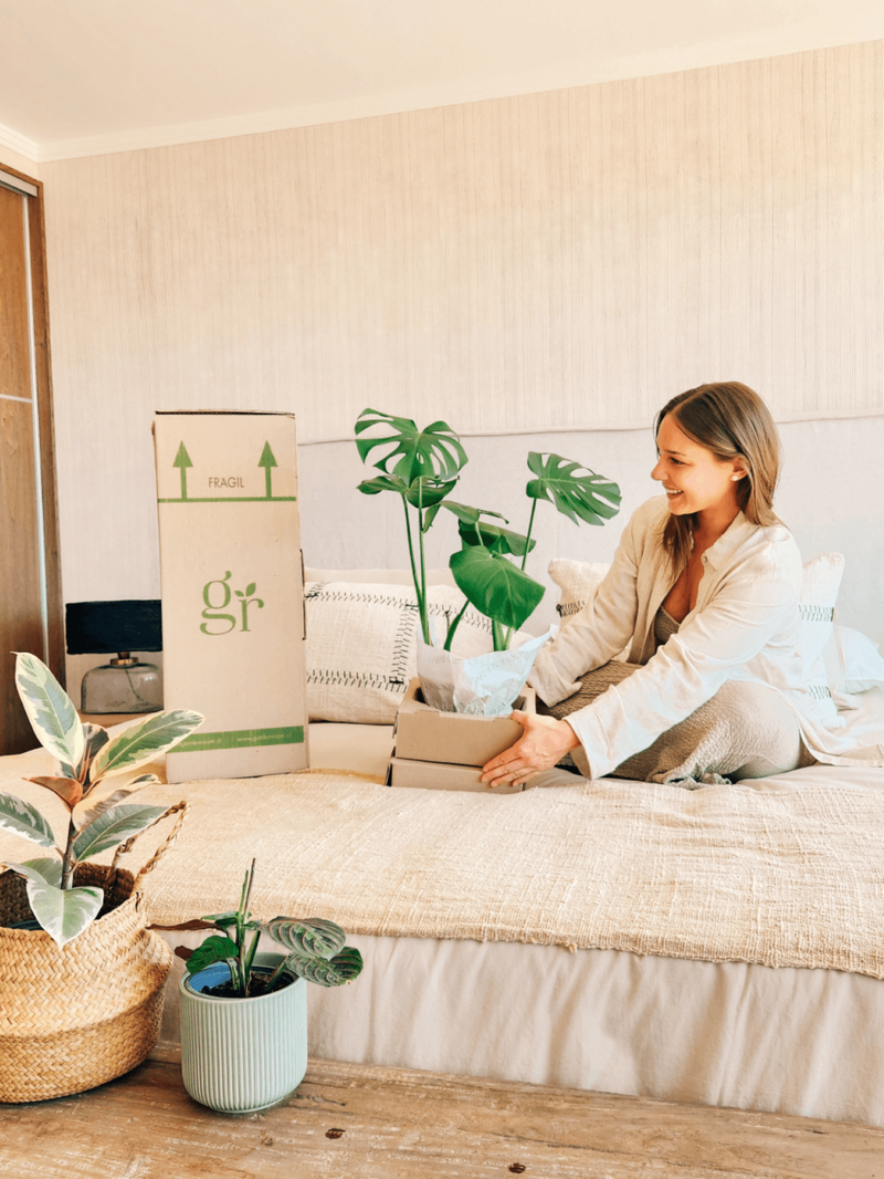 Macetero Pipa Gris S