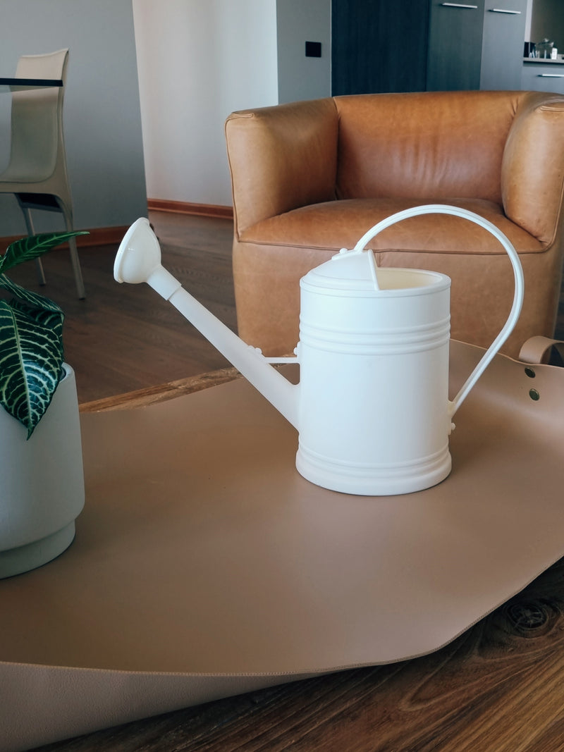 Regadera Blanca - Garden Room