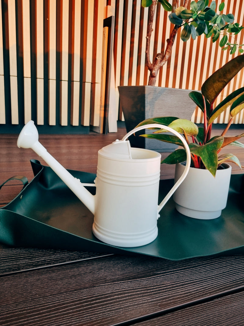 Regadera Blanca - Garden Room