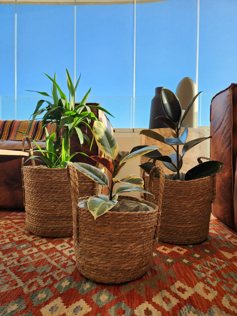 Canasto Rustic XXL - Garden Room